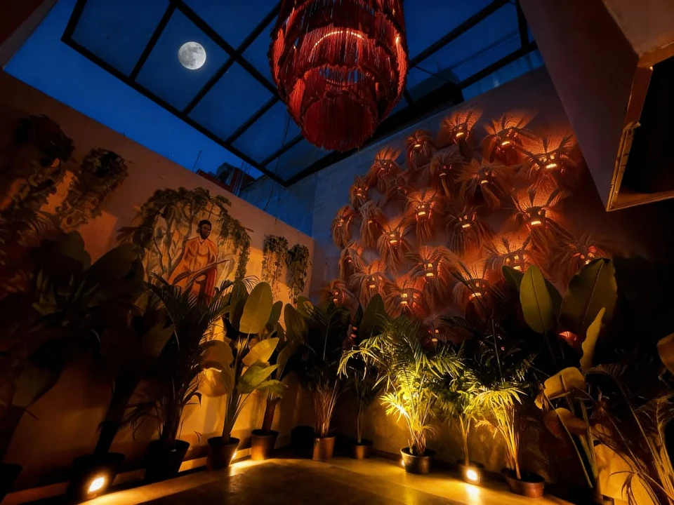 Primitivo Club